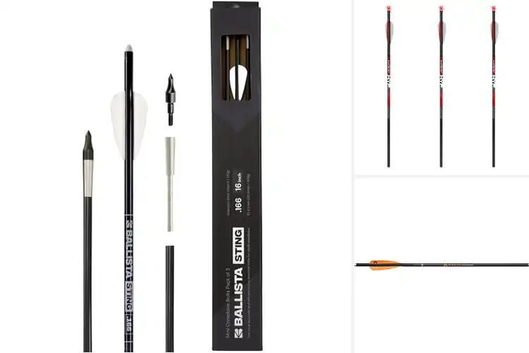 Detailed view of Best 3-Pack Crossbow Bolts