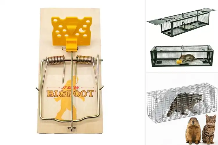 Detailed view of Best Adjustable Trigger Traps