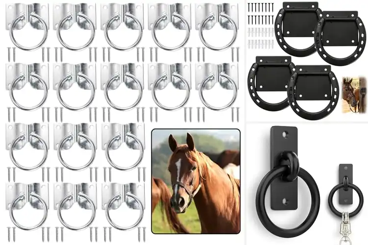 Detailed view of Best Barn Hitching Rings