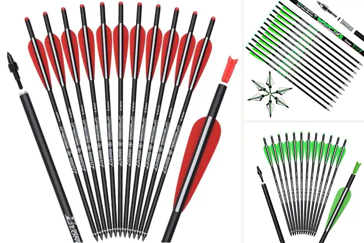 Detailed view of Best Carbon Crossbow Bolts: Shoot with Confidence & Control