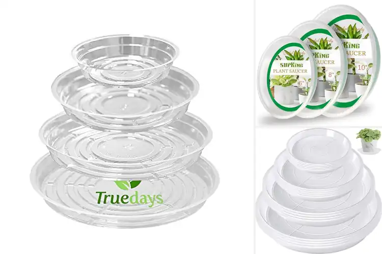 Detailed view of Best Clear Pot Trays