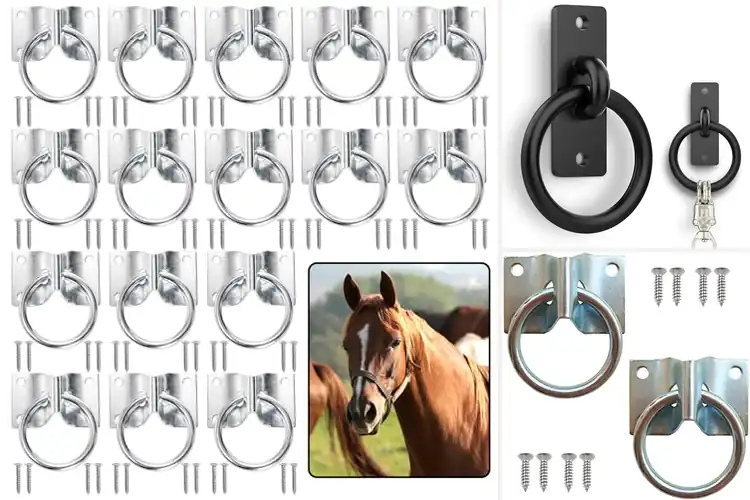 Detailed view of Best Cross Tie Rings: Heavy-Duty for Secure Horse Restraint