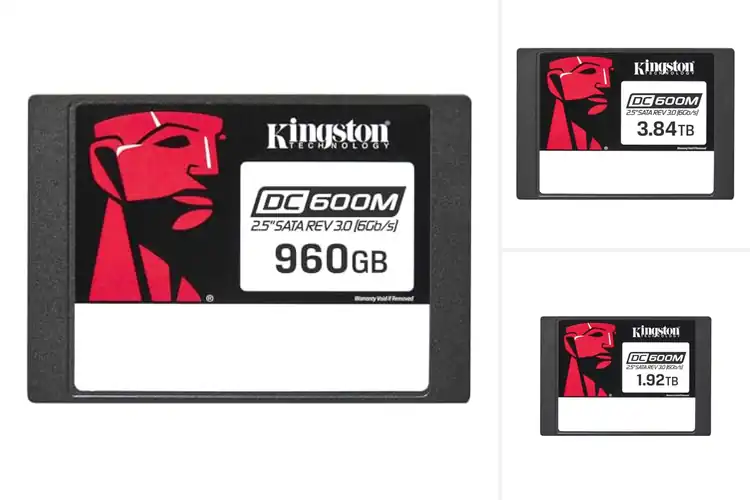 Detailed view of Best Enterprise Storage SSD