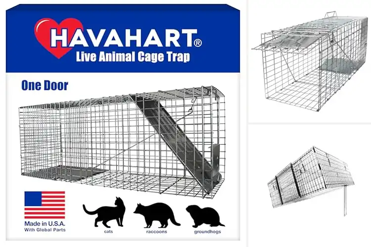 Detailed view of Best Feral Cat Traps: Top 10 Humane & Effective Solutions