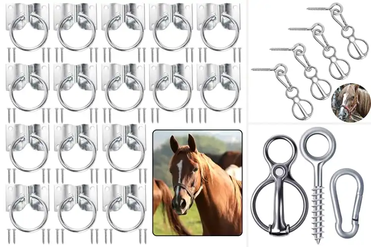 Detailed view of Best Horse Tie Rings: Top Durable Options for Horse Safety