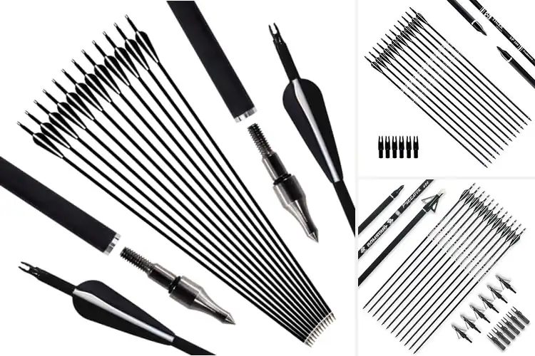 Detailed view of Best Hunting Arrows