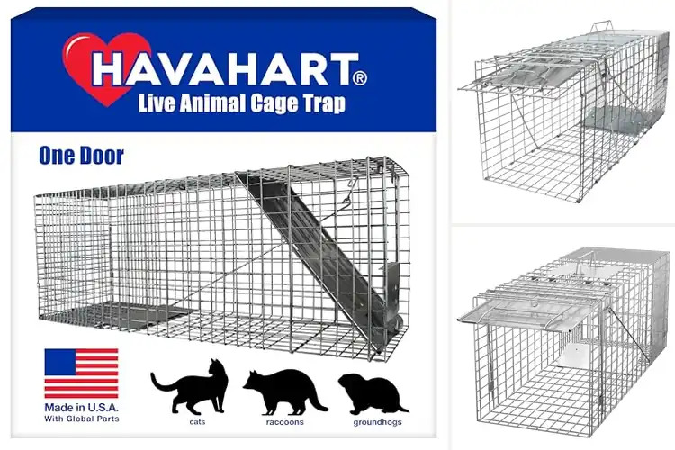 Detailed view of Best Live Traps