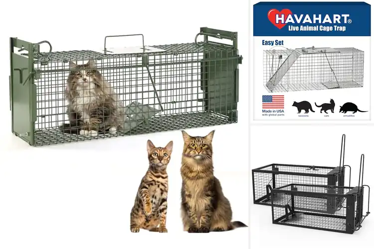 Detailed view of Best Locking Door Traps: Safely Catch & Release Critters