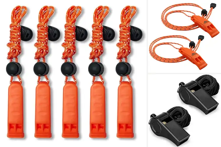Detailed view of Best Loud Whistles