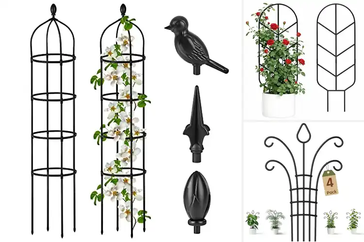 Detailed view of Best Metal Plant Trellises