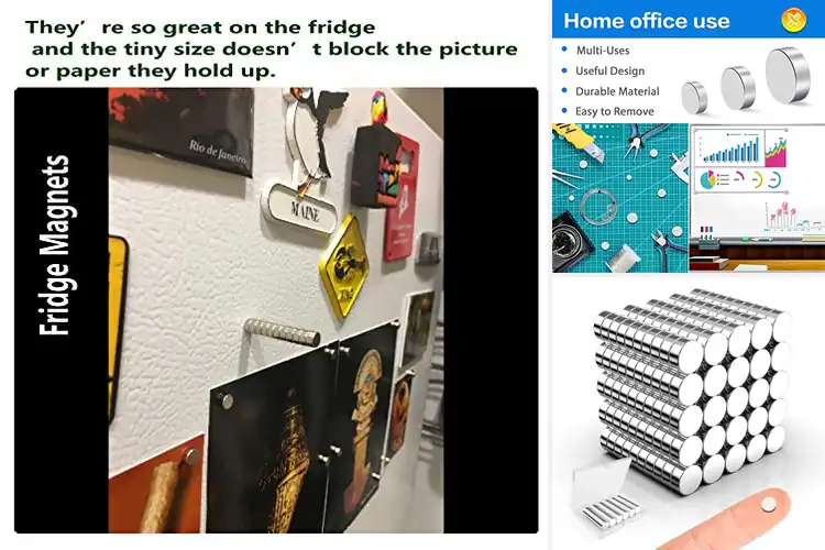 Detailed view of Best Mini Magnets For Crafts