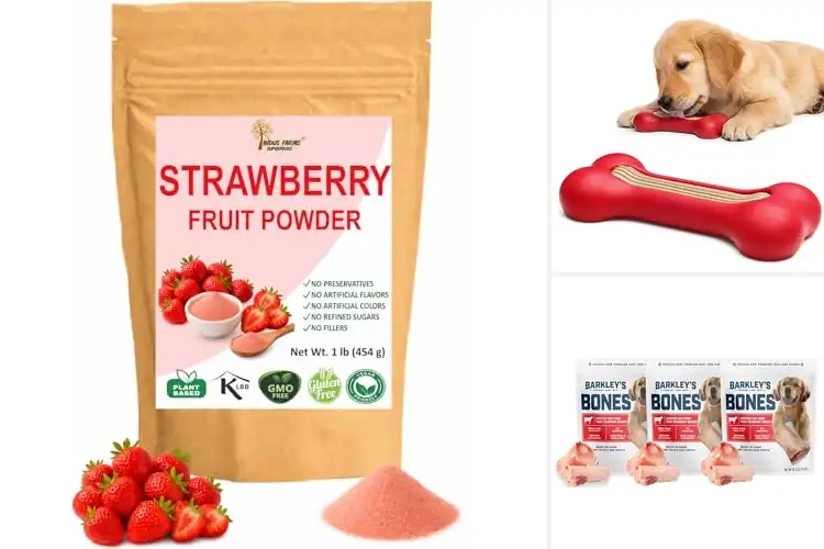 Detailed view of Best Natural Frozen Treats
