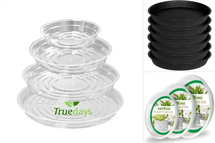 Detailed view of Best Plant Saucers: Top 10 Durable, Easy‑Use Models