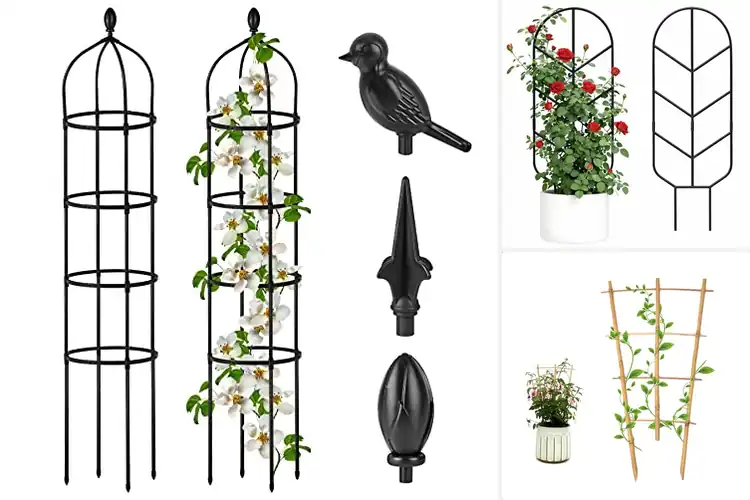 Detailed view of Best Plant Trellises