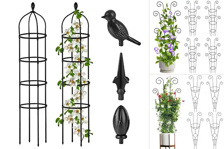 Detailed view of Best Rustproof Plant Trellises: Top 10 Picks for Your Garden