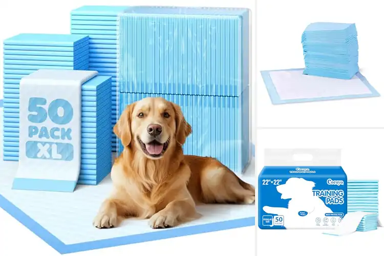 Detailed view of Best Safety Dog Pads: Keep Your Home Clean & Protected