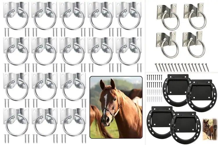 Detailed view of Best Secure Hitching Rings: Top 10 for Animal Safety