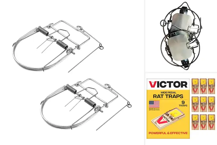Detailed view of Best Spring Loaded Traps