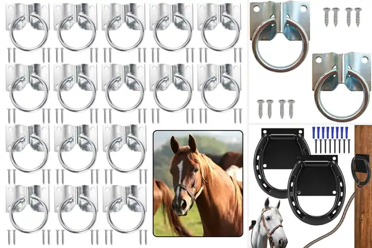 Detailed view of Best Stable Tie Rings: Top 10 Picks for Safety