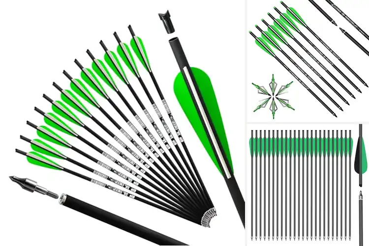 Detailed view of Best Target Crossbow Bolts