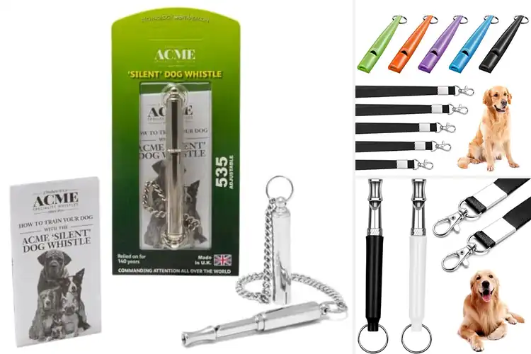 Detailed view of Best Training Whistles