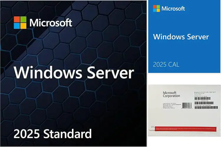 Detailed view of Best Windows Servers for Power, Speed & Security